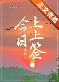今日上上签啥意思