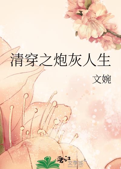 清穿之炮灰