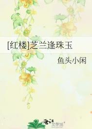 红楼同人之新黛