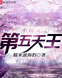 小精灵之第五天王txt全文下载