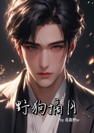 野狗小说下载
