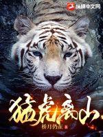 猛虎视频