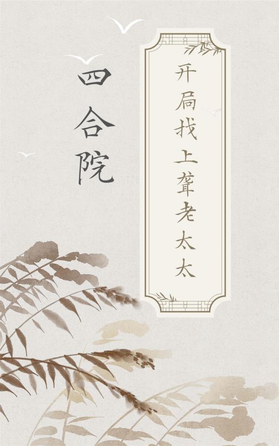 四合院开局让聋老太太进监狱