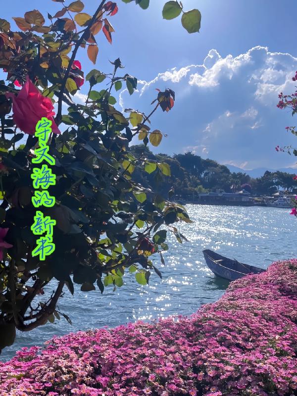 宇文海情杀案