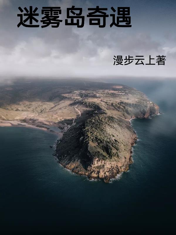迷雾岛奇遇林飞