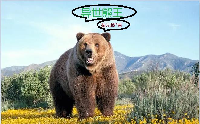 混世熊王