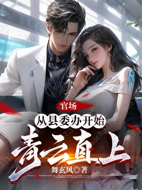 官场小说从乡到县市再到省委书记下载