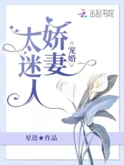 宠婚闪婚娇妻太撩人小说