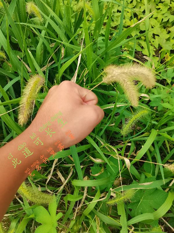 此道须臾不可离是什么意思