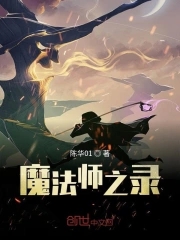 魔法师之异界纵横
