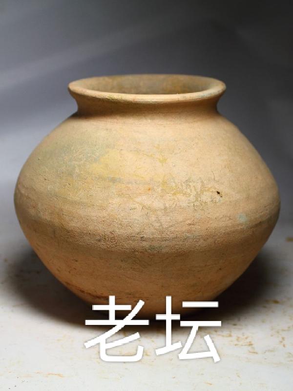 老坛酸菜动画