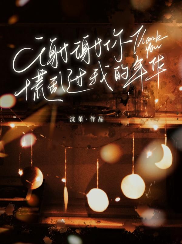 你慌乱了我的年华小说