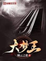 大梦王小书包简介