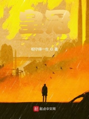 皇冠有升降悬挂吗