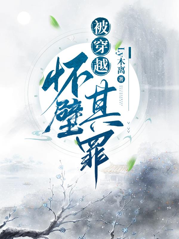 被穿越:怀璧其罪的小说