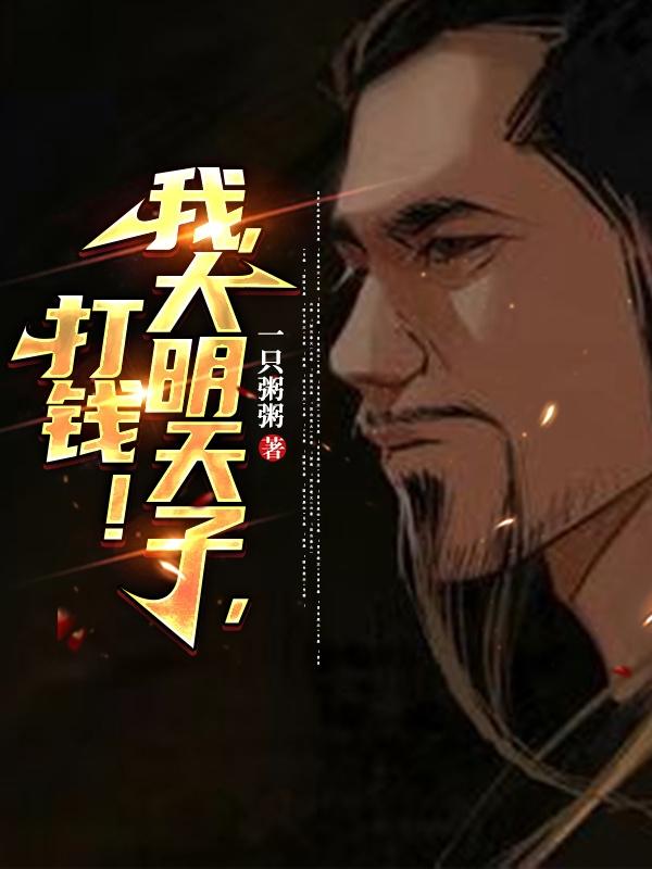 电视剧 大明天子
