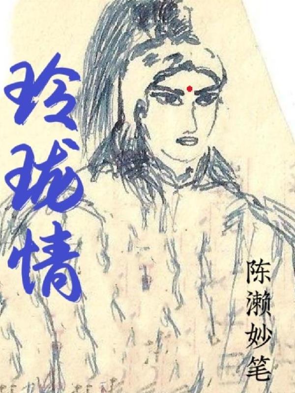 玲珑情节