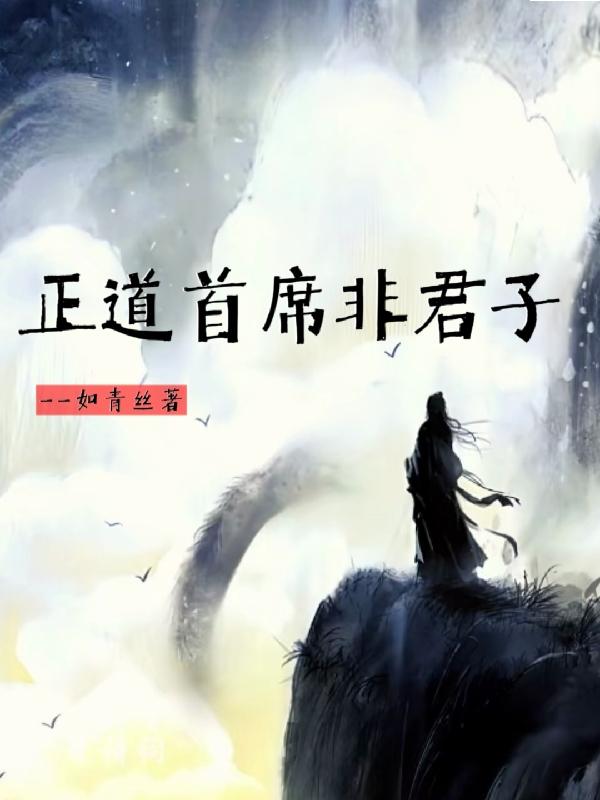 正道君子小说