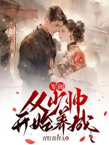 军阀少帅言情小说