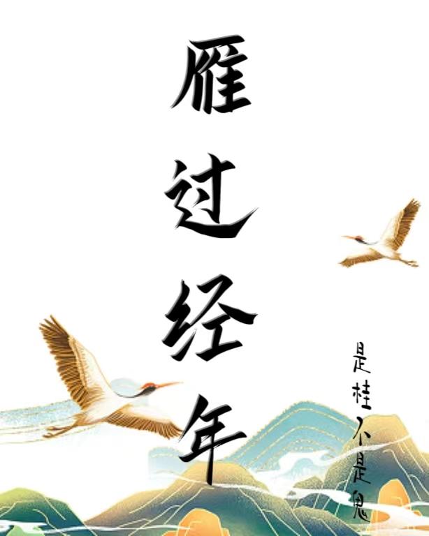 雁过拔毛的下一句是什么