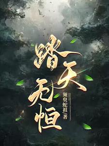 踏天无痕txt下载完本电子书