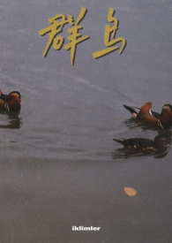 群鸟飞