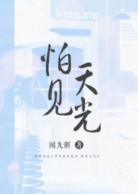 乍见天光小说