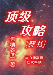 顶级攻略by焦糖写的什么