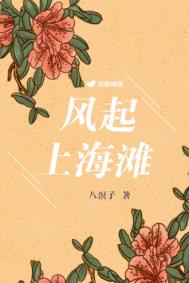 风雨上海滩靳东版免费观看
