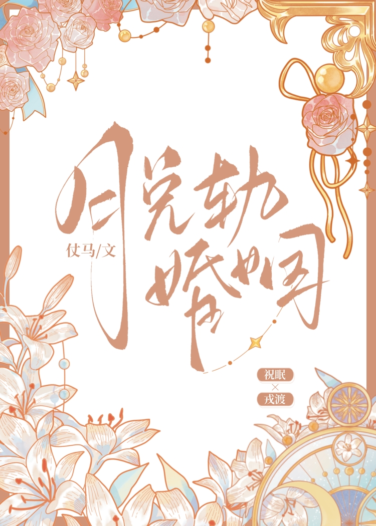 脱轨婚姻小说