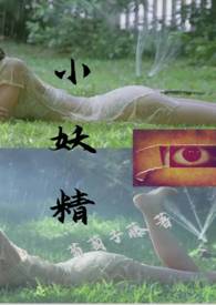 小妖精灰豆