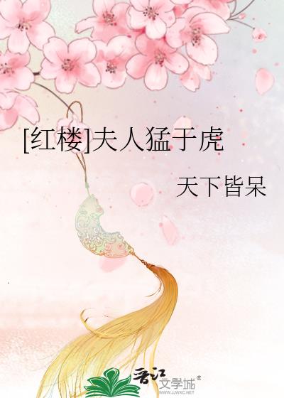 红楼夫人套路深