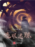 诡眼神探小说