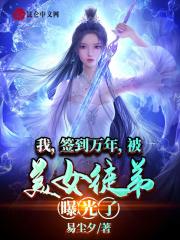 叶云神龙宗小说免费看