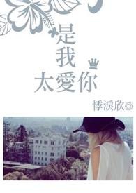是我太傻完整版