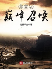 三国之巅峰召唤小说作品