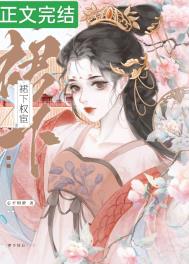宦宠讲的是什么